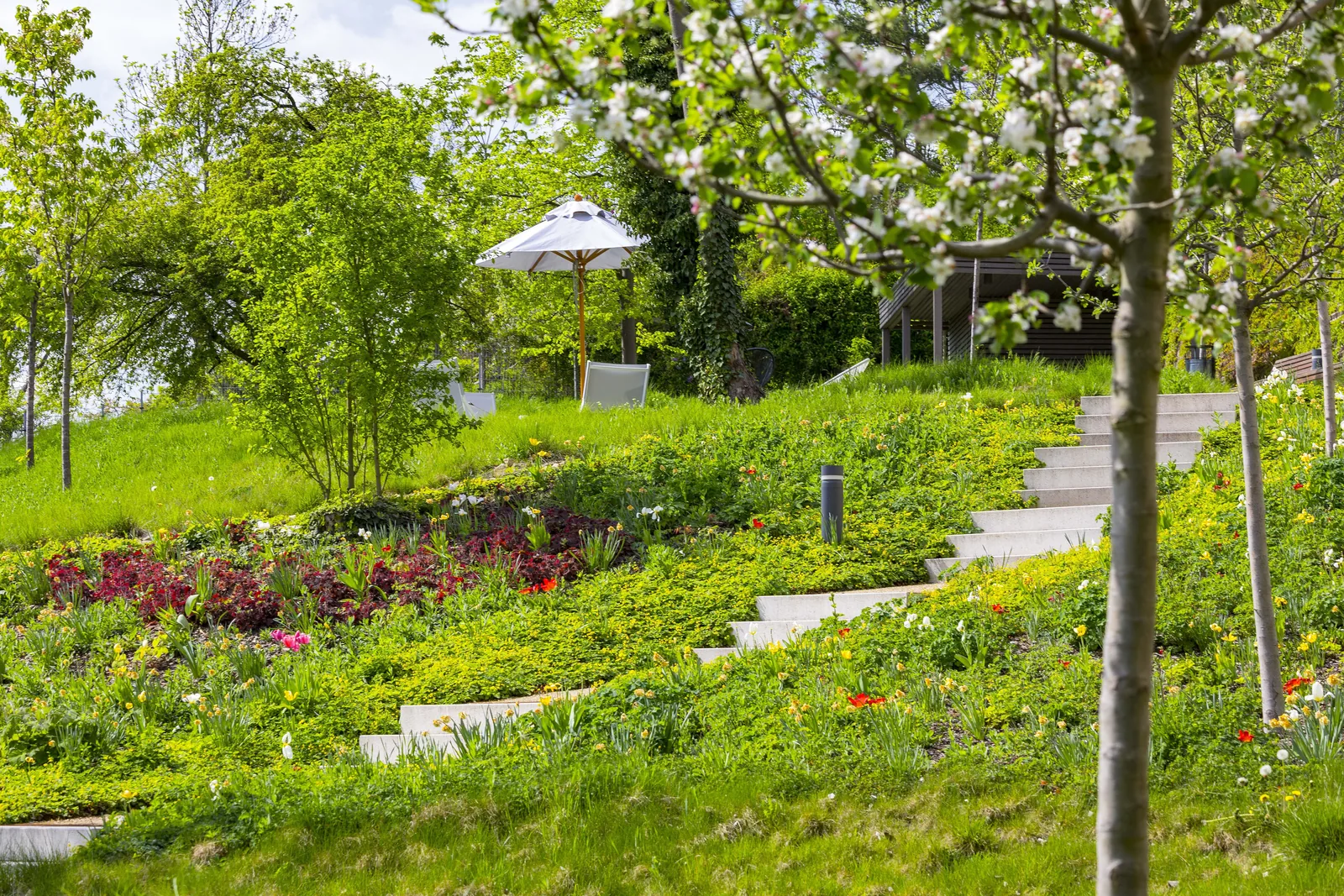 The landscaped terraced gardens at Ellipsis