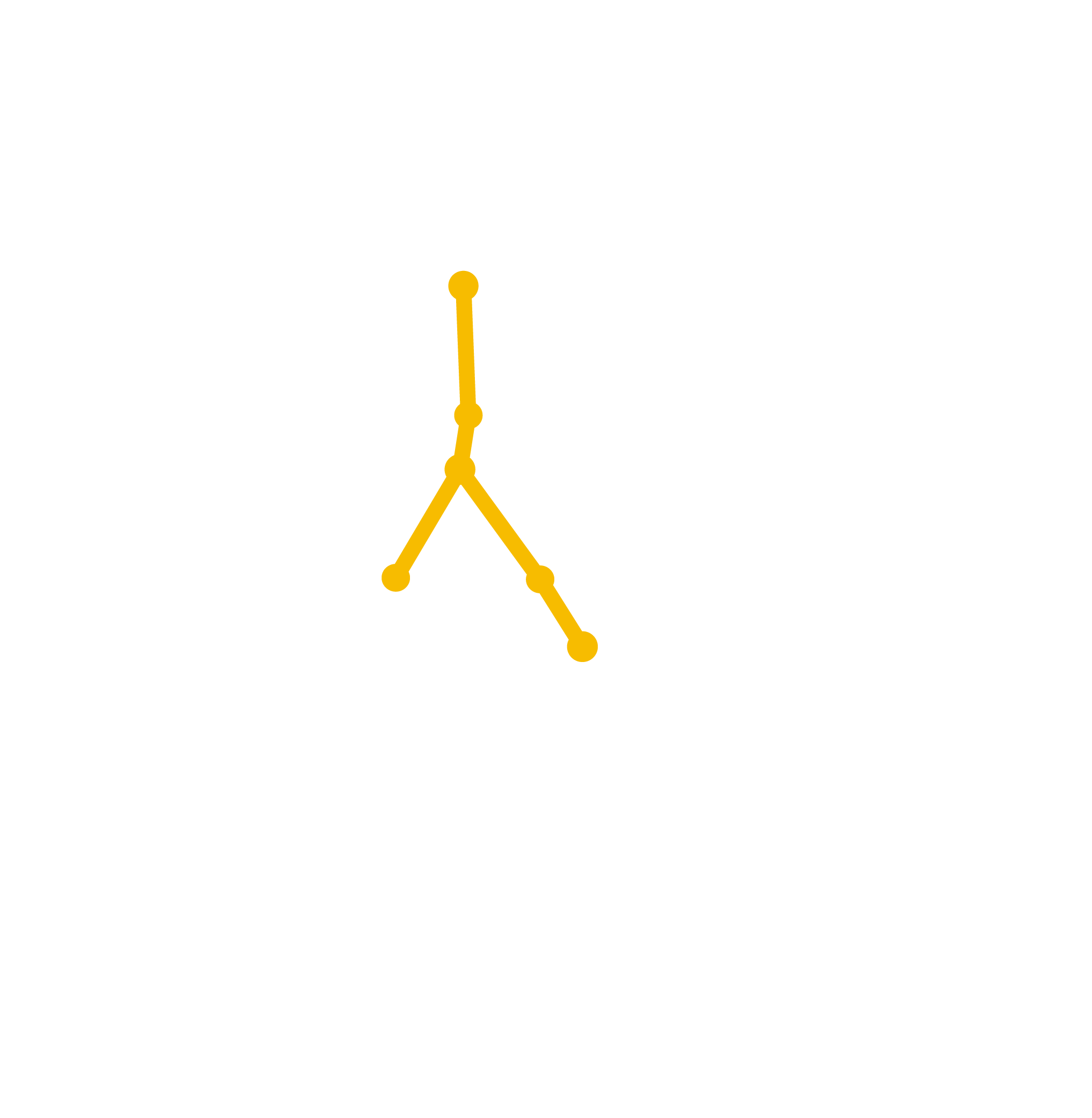 IRNERIO